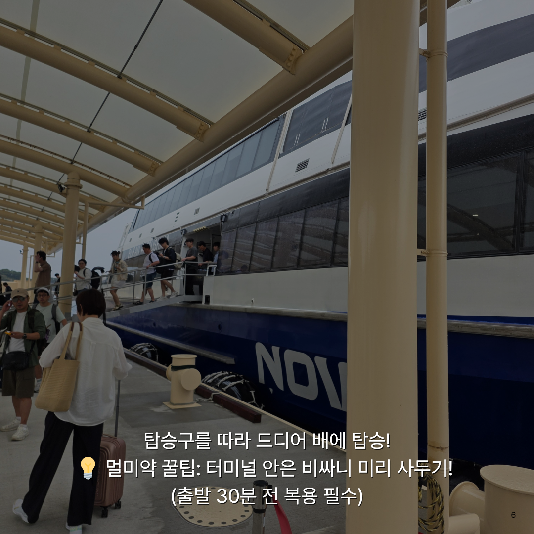 여름휴가로 떠난 가장 가까운 해외여행, 자연과 힐링 가득한 대마도 1박 2일 솔직 후기🚢
