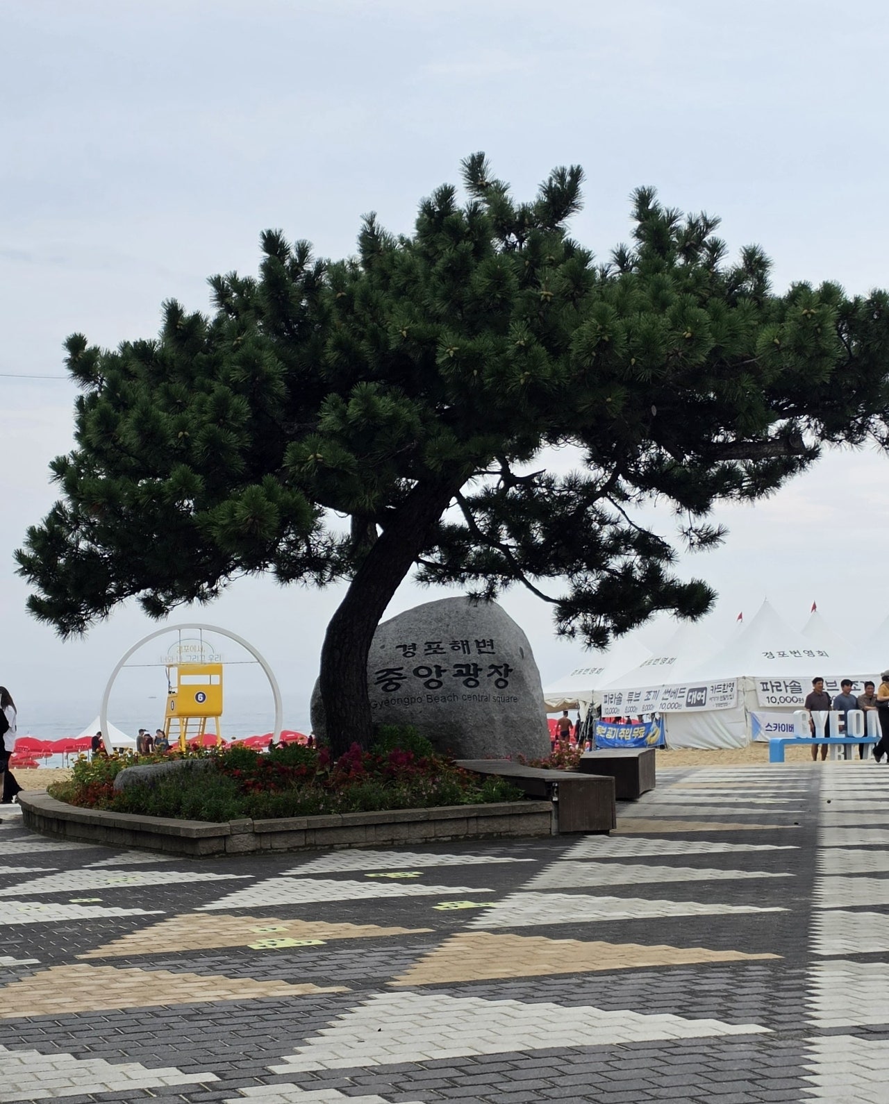 오로지 수영장만 보고 다녀왔습니다 🏊♀️