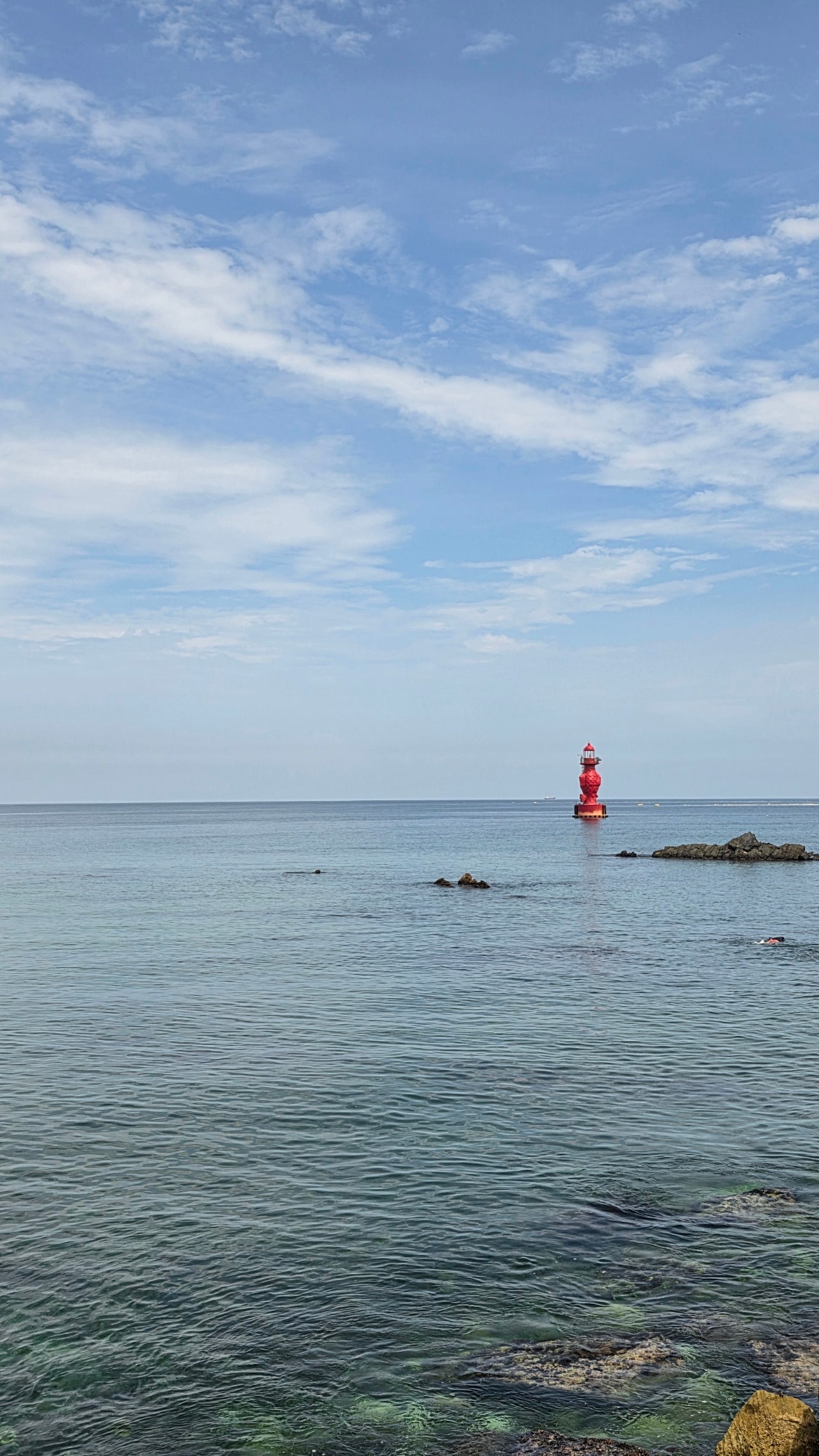 오로지 수영장만 보고 다녀왔습니다 🏊♀️