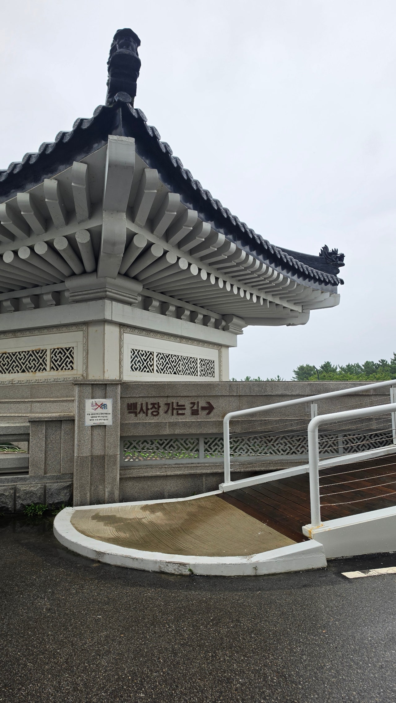 오로지 수영장만 보고 다녀왔습니다 🏊♀️