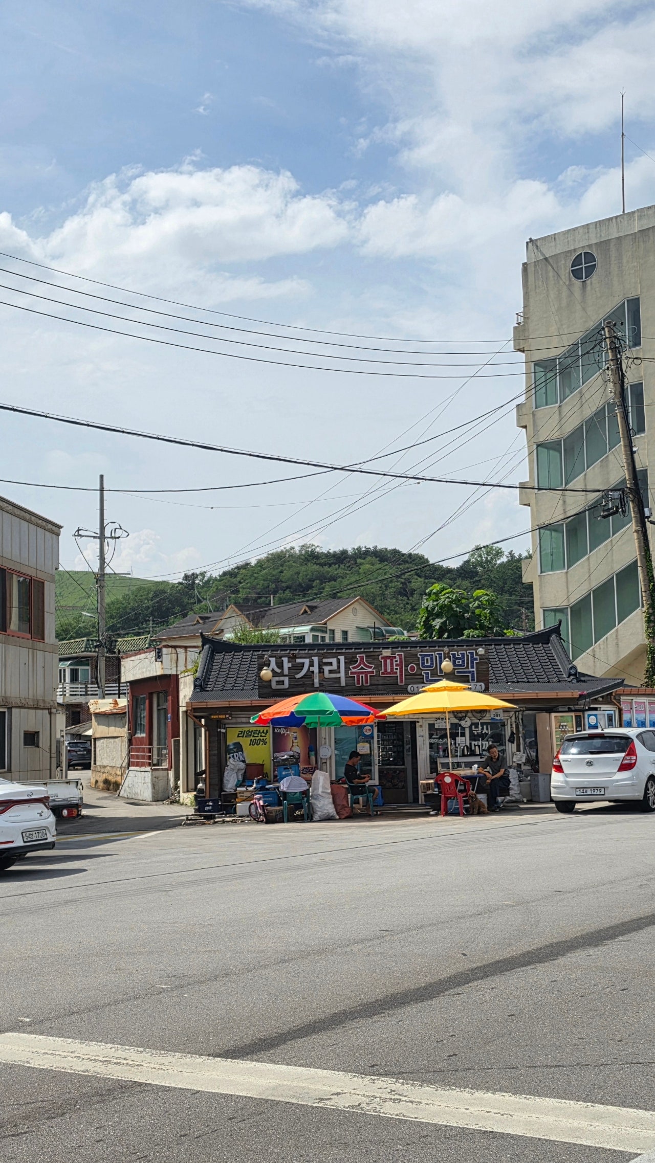 오로지 수영장만 보고 다녀왔습니다 🏊♀️