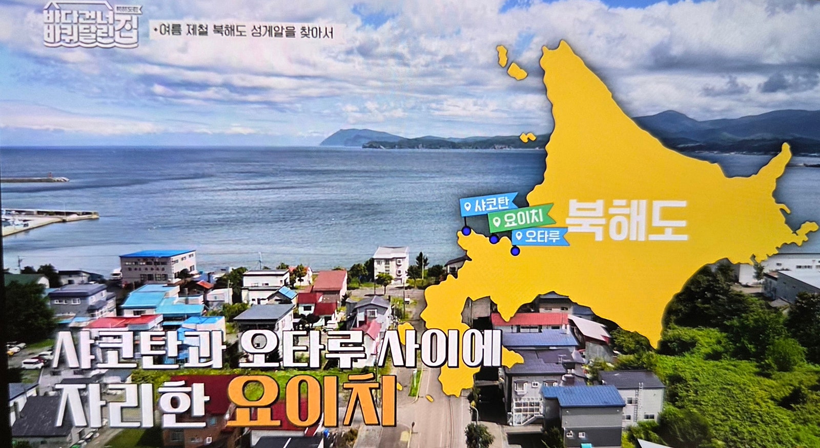 샤코탄 블루를 찾아 떠난 샤코탄 요이치 여행