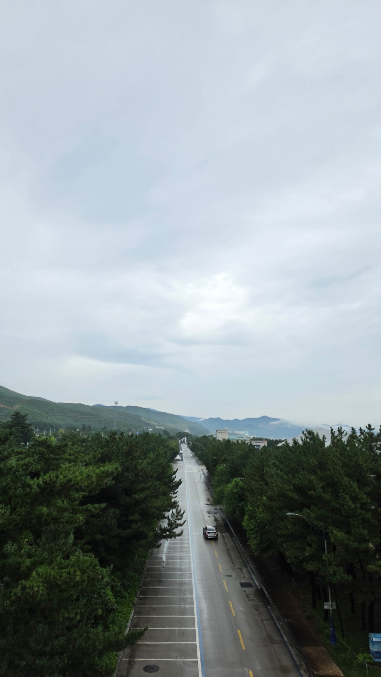 오로지 수영장만 보고 다녀왔습니다 🏊♀️