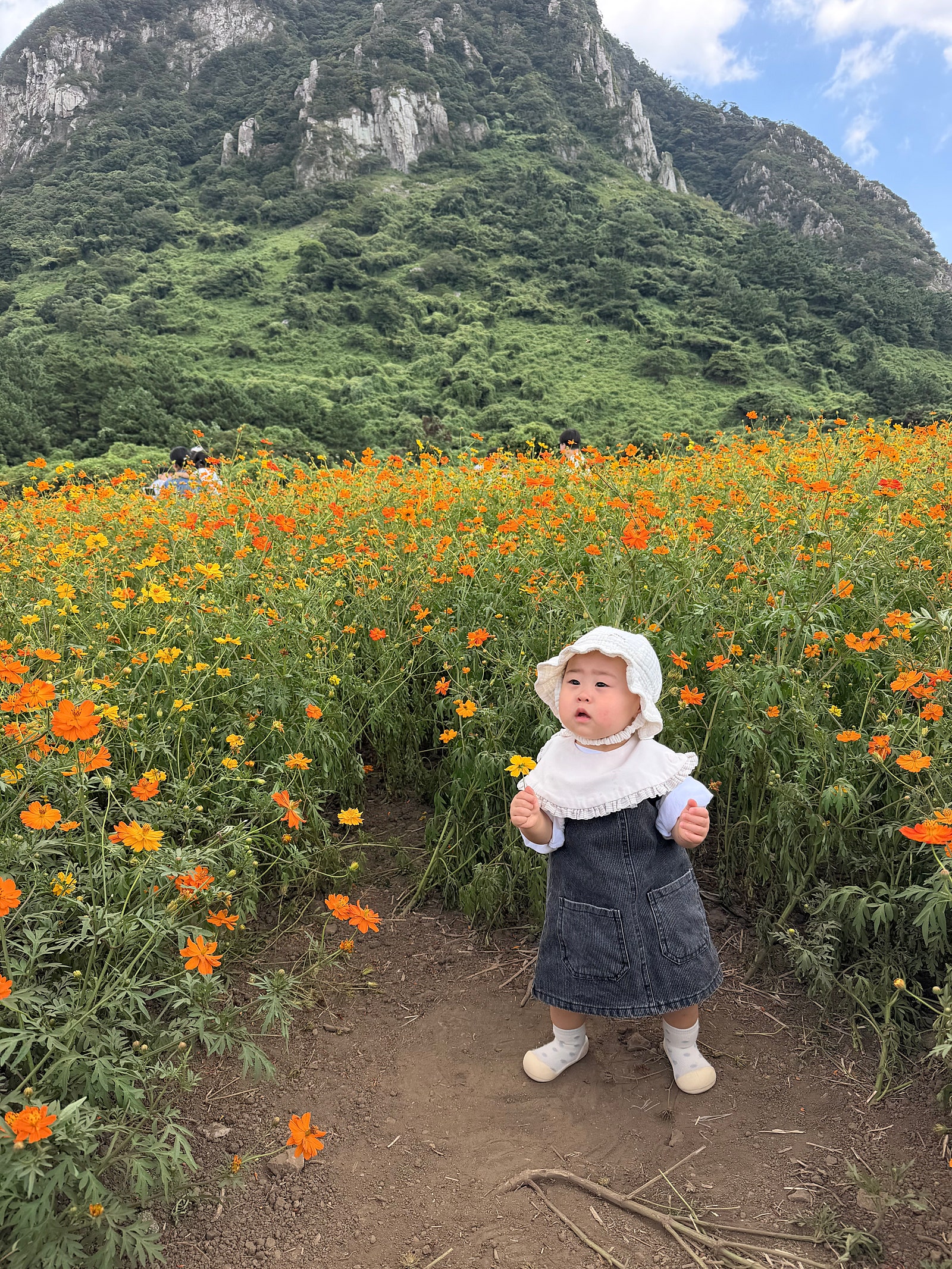 가을을 듬뿍담은 생일기념 제주여행일기🍂🍁(일정편)