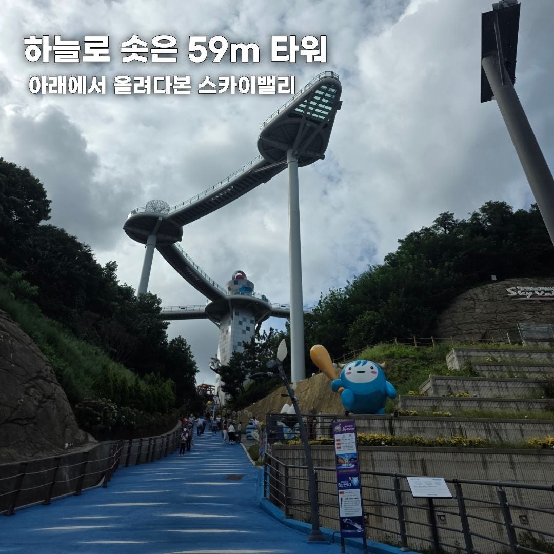 푸른 바다부터 숲속 힐링까지, 가을 떠나기 좋은 강원도 나들이 코스 총정리 (동해·평창·안동)