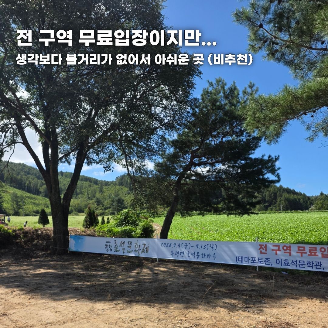 푸른 바다부터 숲속 힐링까지, 가을 떠나기 좋은 강원도 나들이 코스 총정리 (동해·평창·안동)
