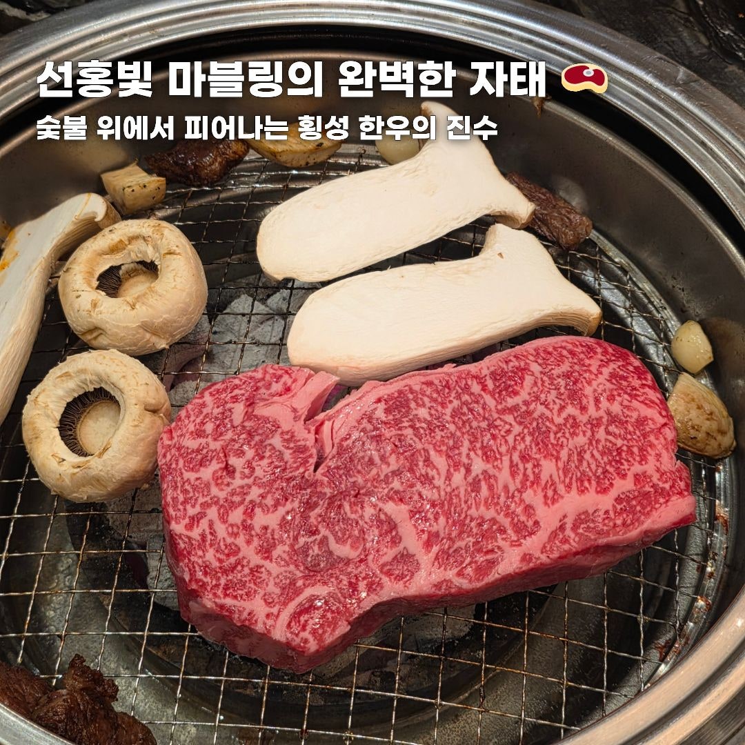 푸른 바다부터 숲속 힐링까지, 가을 떠나기 좋은 강원도 나들이 코스 총정리 (동해·평창·안동)