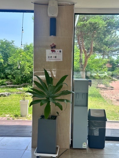 강원도 고성 19개월 아이랑 2박3일 투룸 숙소! 가성비숙소추천 고성 선샤인비치