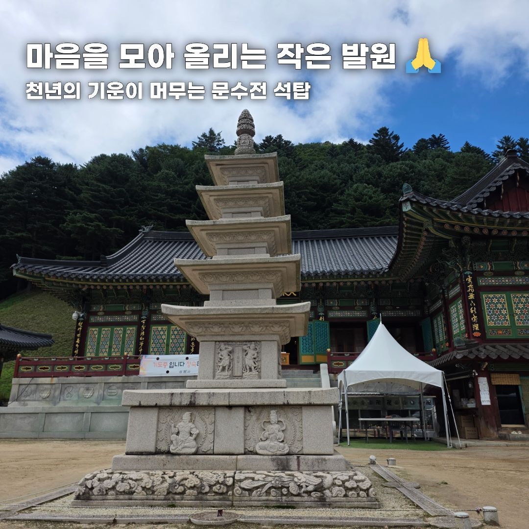 푸른 바다부터 숲속 힐링까지, 가을 떠나기 좋은 강원도 나들이 코스 총정리 (동해·평창·안동)