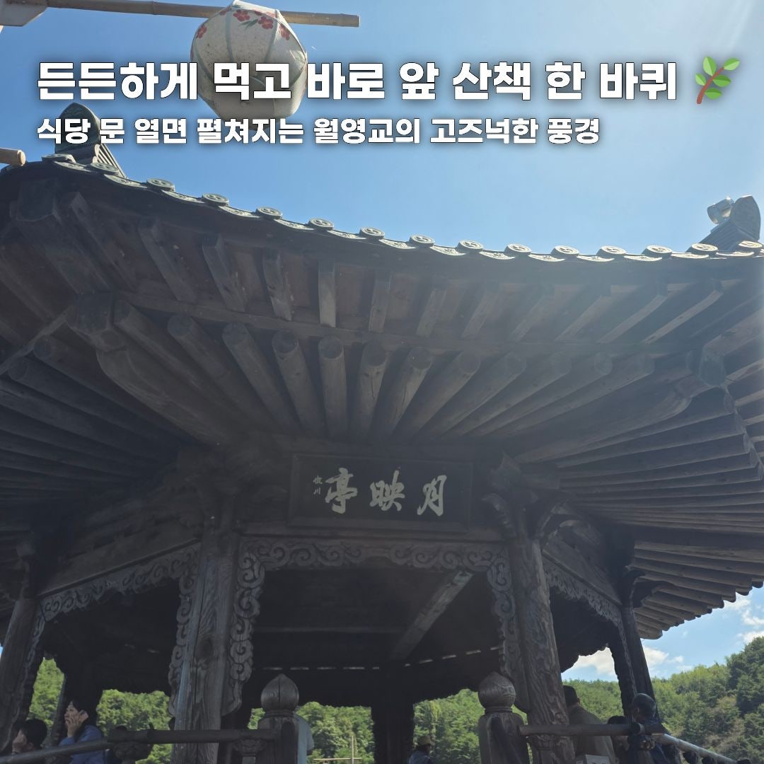 푸른 바다부터 숲속 힐링까지, 가을 떠나기 좋은 강원도 나들이 코스 총정리 (동해·평창·안동)