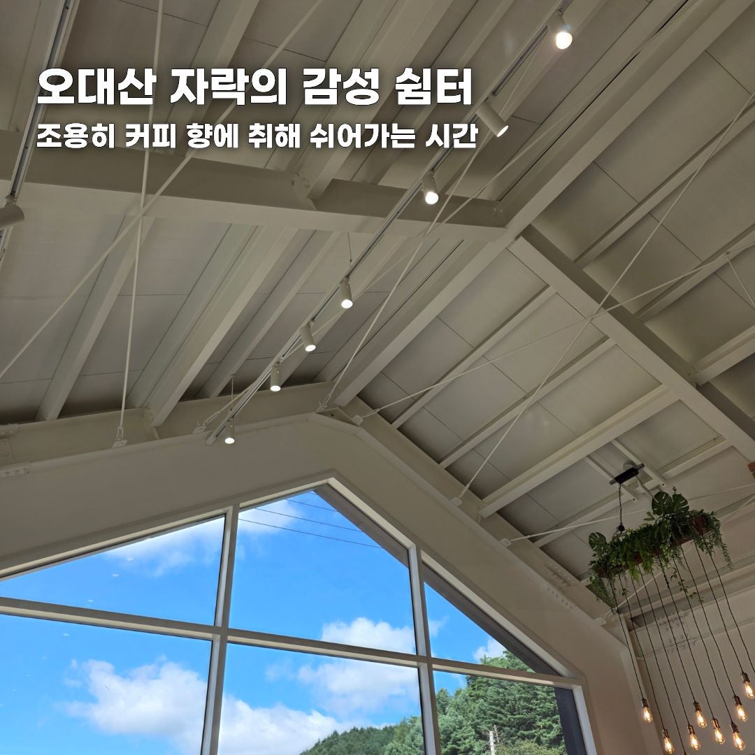 푸른 바다부터 숲속 힐링까지, 가을 떠나기 좋은 강원도 나들이 코스 총정리 (동해·평창·안동)