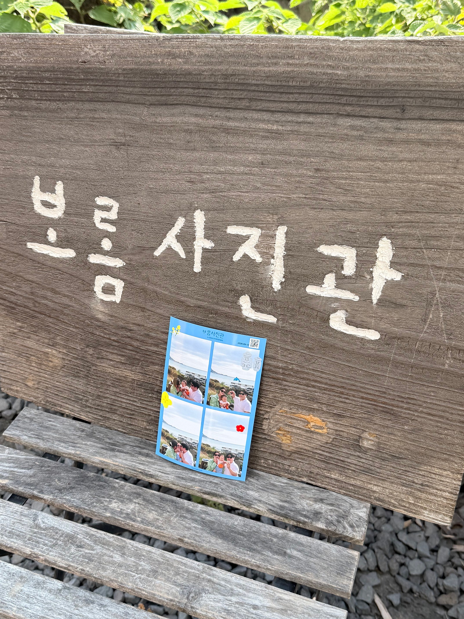 가을을 듬뿍담은 생일기념 제주여행일기🍂🍁(일정편)