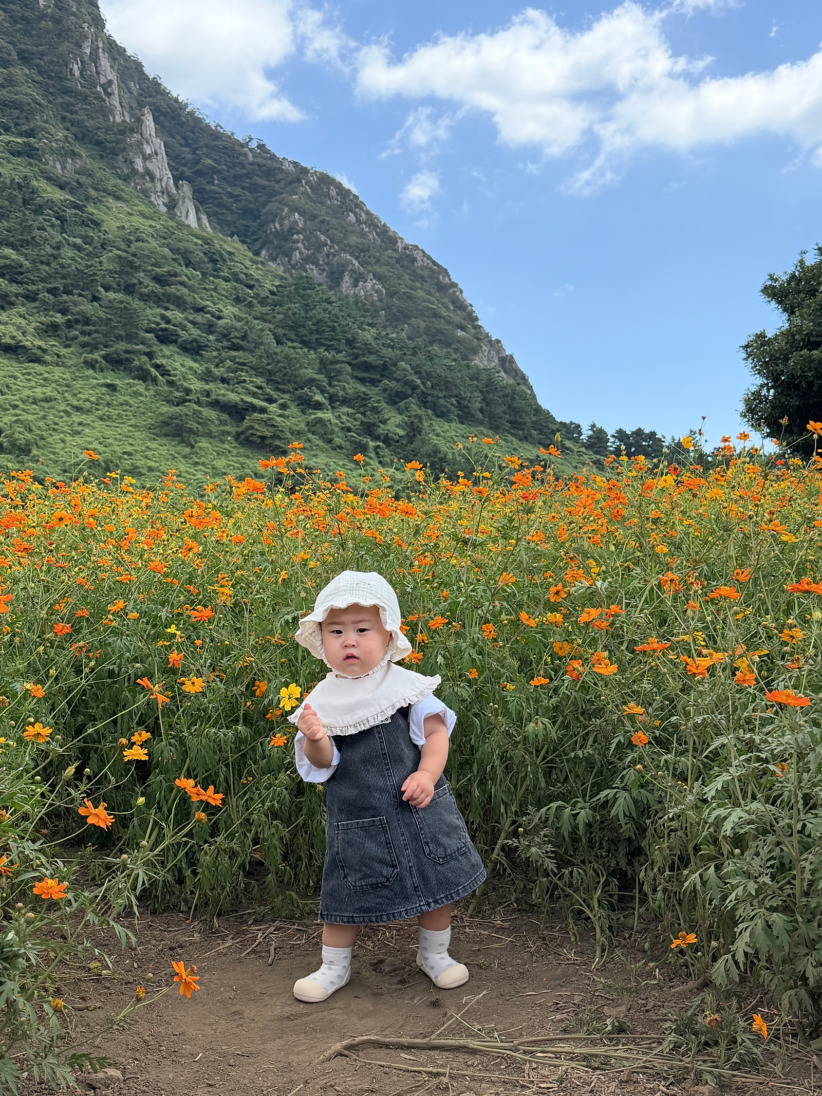 가을을 듬뿍담은 생일기념 제주여행일기🍂🍁(일정편)