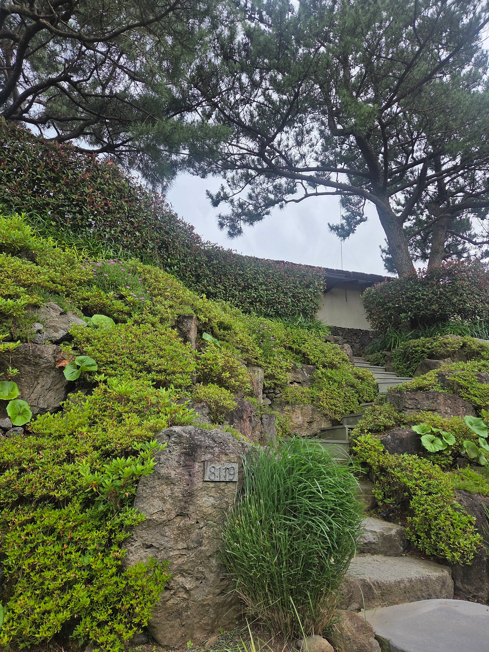 [9월 여행노트] 한라산 자락에 숨은 이색 5성급, 제주 엠버 퓨어힐에서 보낸 하루 💙