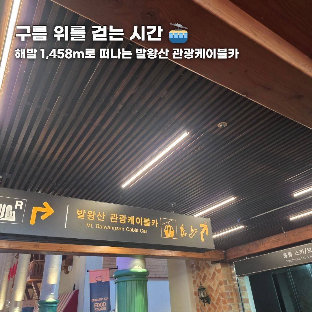 푸른 바다부터 숲속 힐링까지, 가을 떠나기 좋은 강원도 나들이 코스 총정리 (동해·평창·안동)