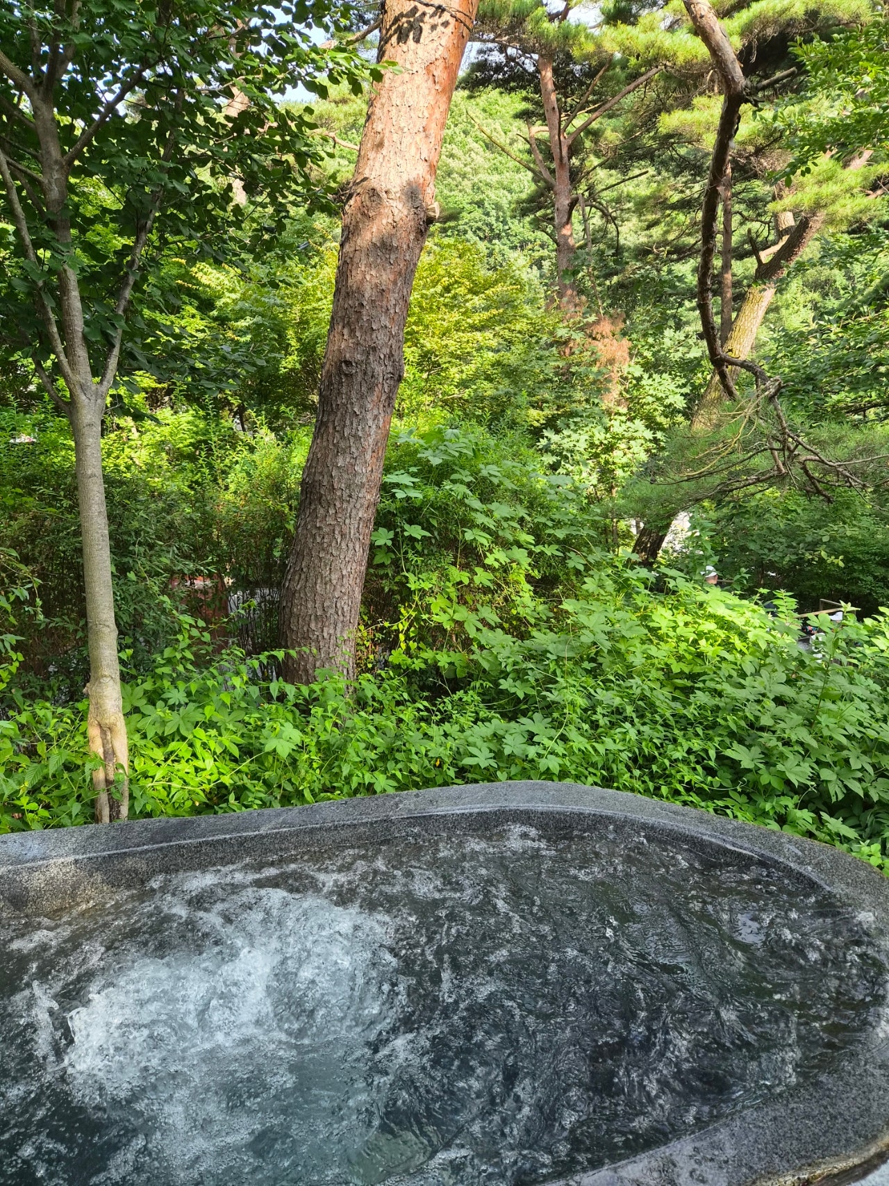 스파여행으로 제천 어때요? 해브나인 스파 처음 간 사람 여기 있어요