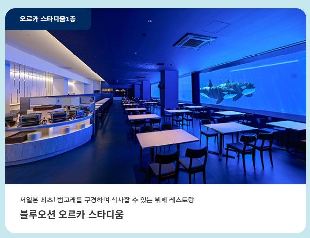 가을여행 고베 가볼만한곳 | 고베 스마 씨월드 범고래·돌고래 공연 후기