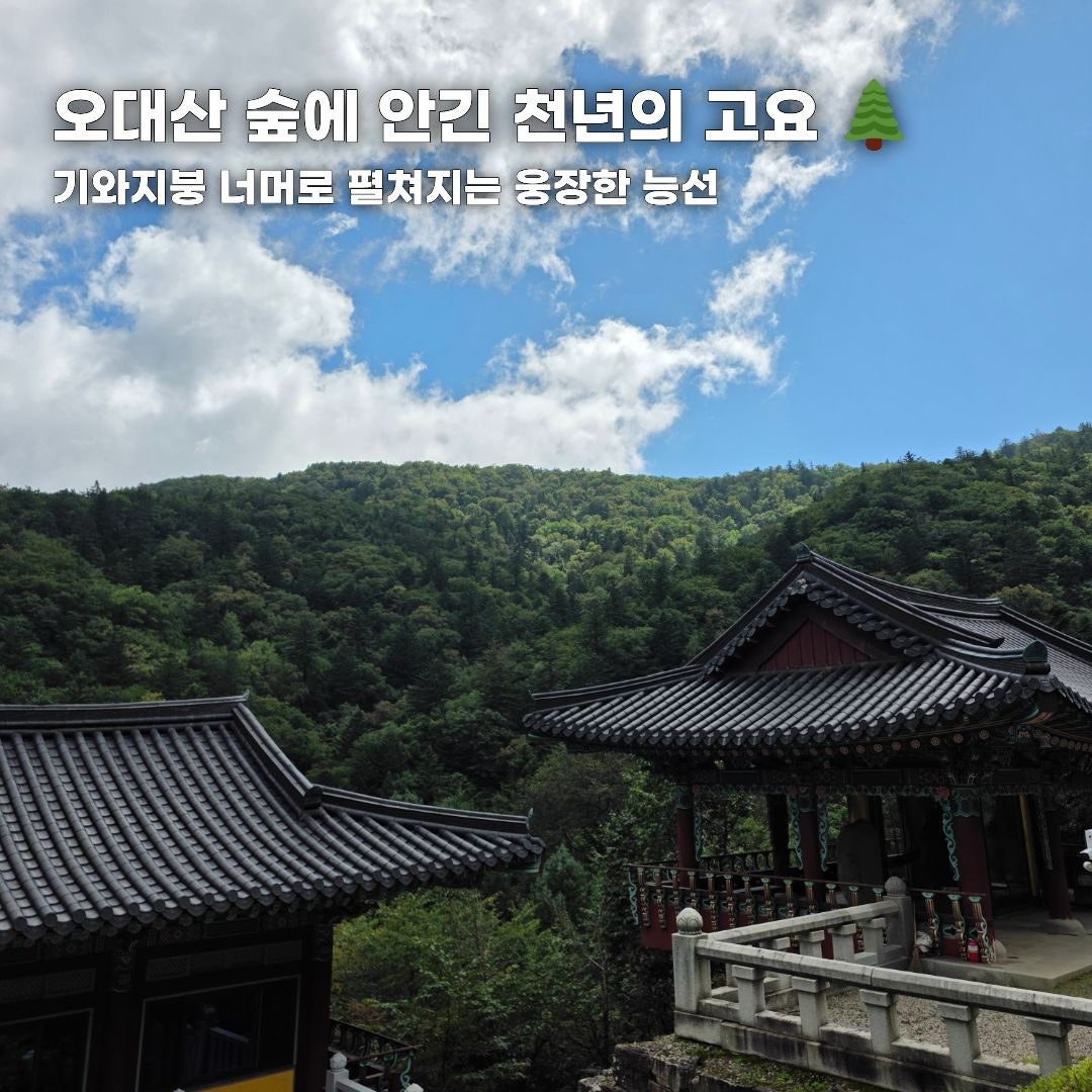푸른 바다부터 숲속 힐링까지, 가을 떠나기 좋은 강원도 나들이 코스 총정리 (동해·평창·안동)