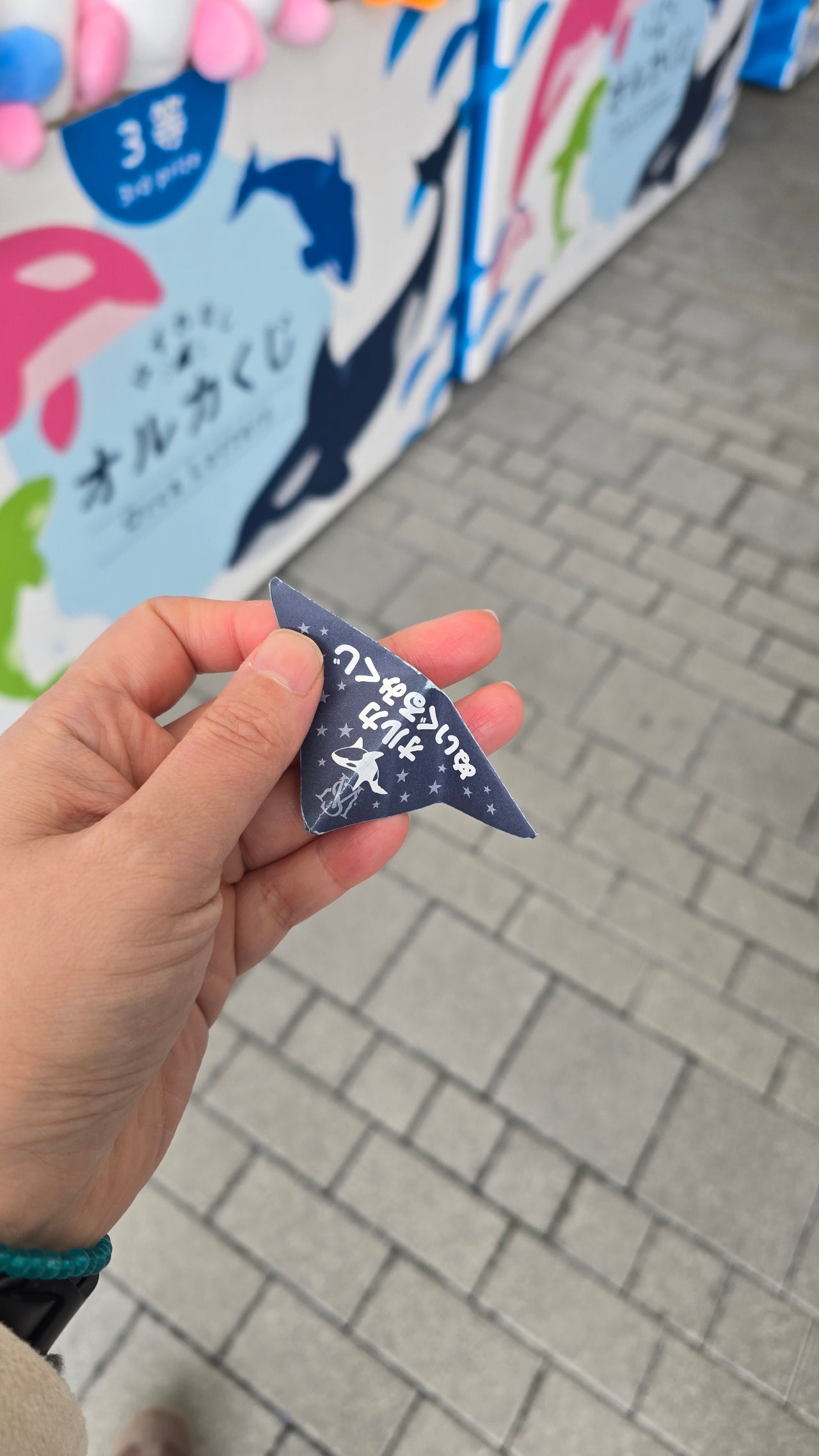가을여행 고베 가볼만한곳 | 고베 스마 씨월드 범고래·돌고래 공연 후기