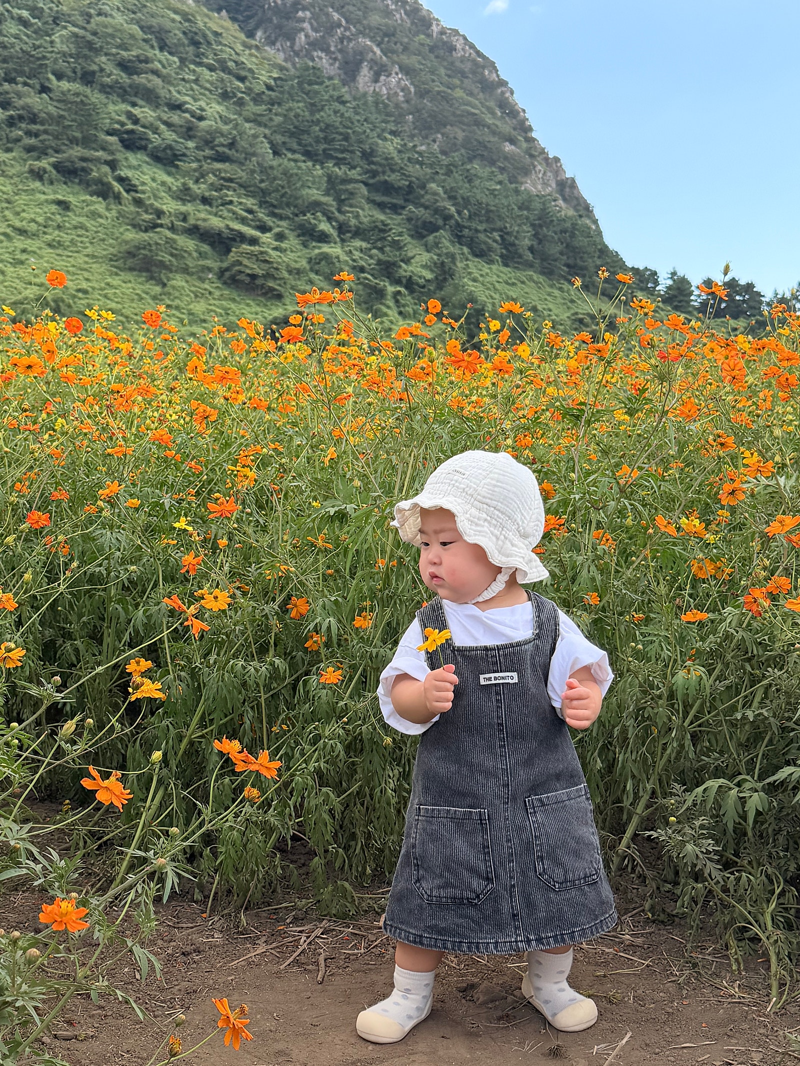 가을을 듬뿍담은 생일기념 제주여행일기🍂🍁(일정편)