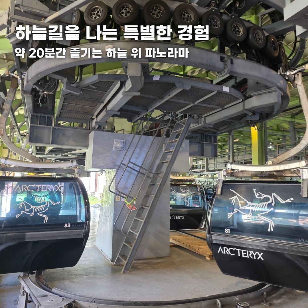 푸른 바다부터 숲속 힐링까지, 가을 떠나기 좋은 강원도 나들이 코스 총정리 (동해·평창·안동)