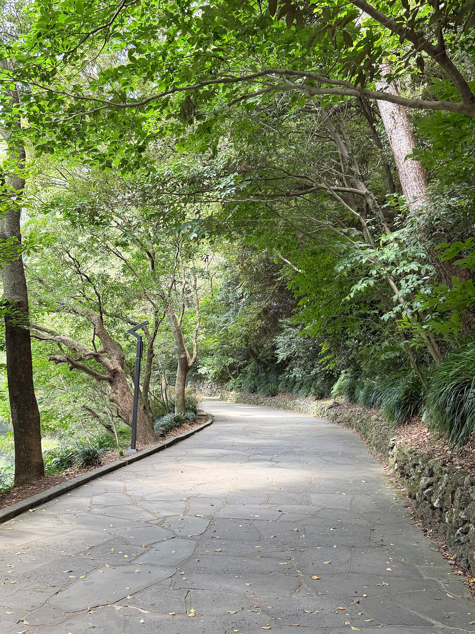 가을을 듬뿍담은 생일기념 제주여행일기🍂🍁(일정편)