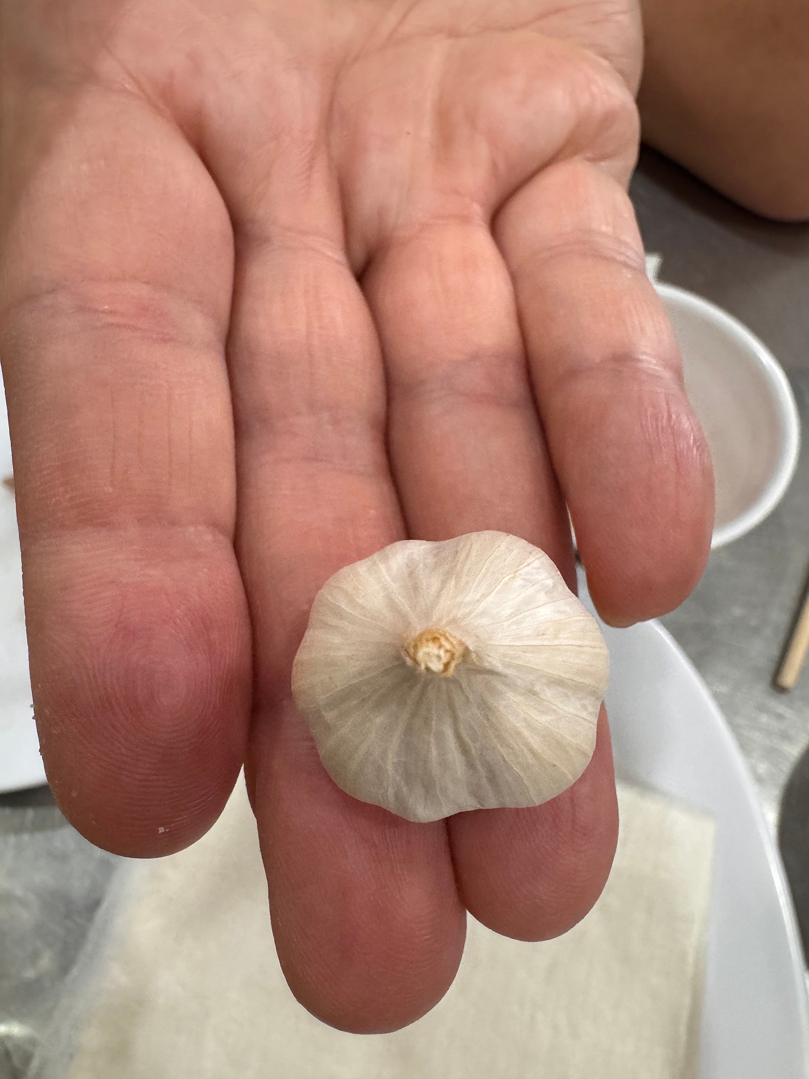 왕보가족의 "나트랑" 여행 노트 : ) 나트랑 찐 로컬 (시내) 맛집 / 꽌옥응언/ 넴느엉 당반꾸엔/ 봉크레이지/ 껌땀 바오린 / 포틴 / 척칩