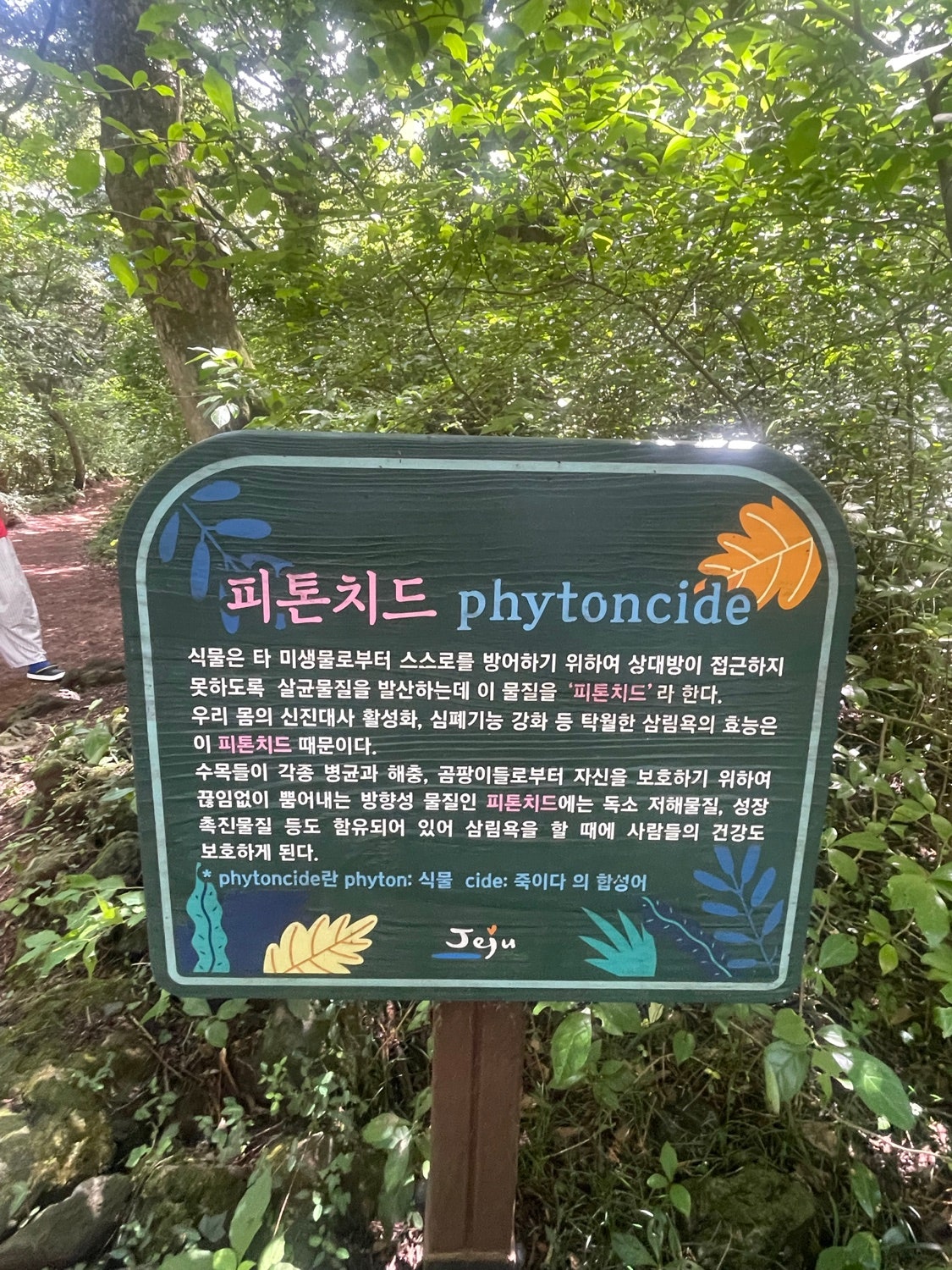 9월 급 제주여행