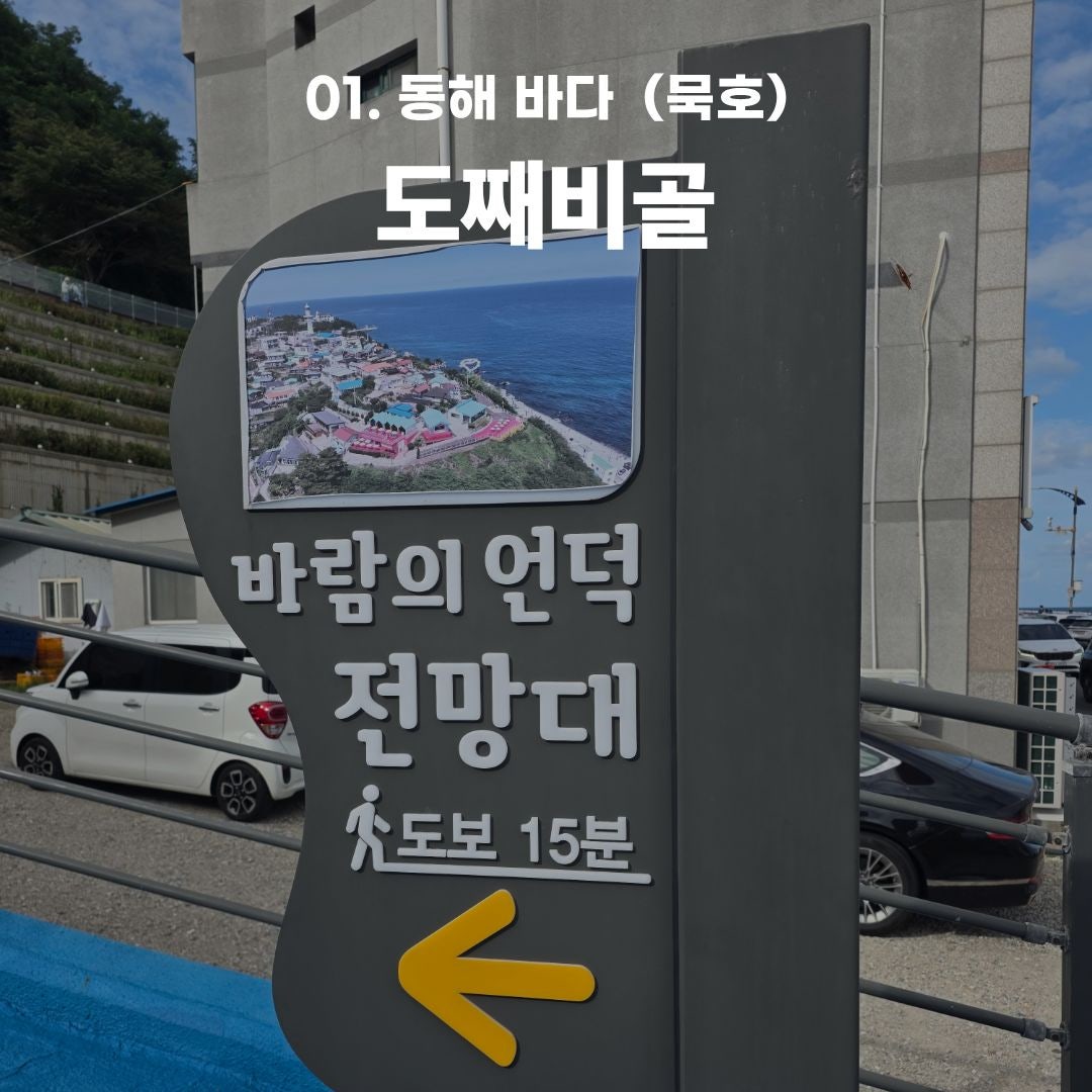 푸른 바다부터 숲속 힐링까지, 가을 떠나기 좋은 강원도 나들이 코스 총정리 (동해·평창·안동)
