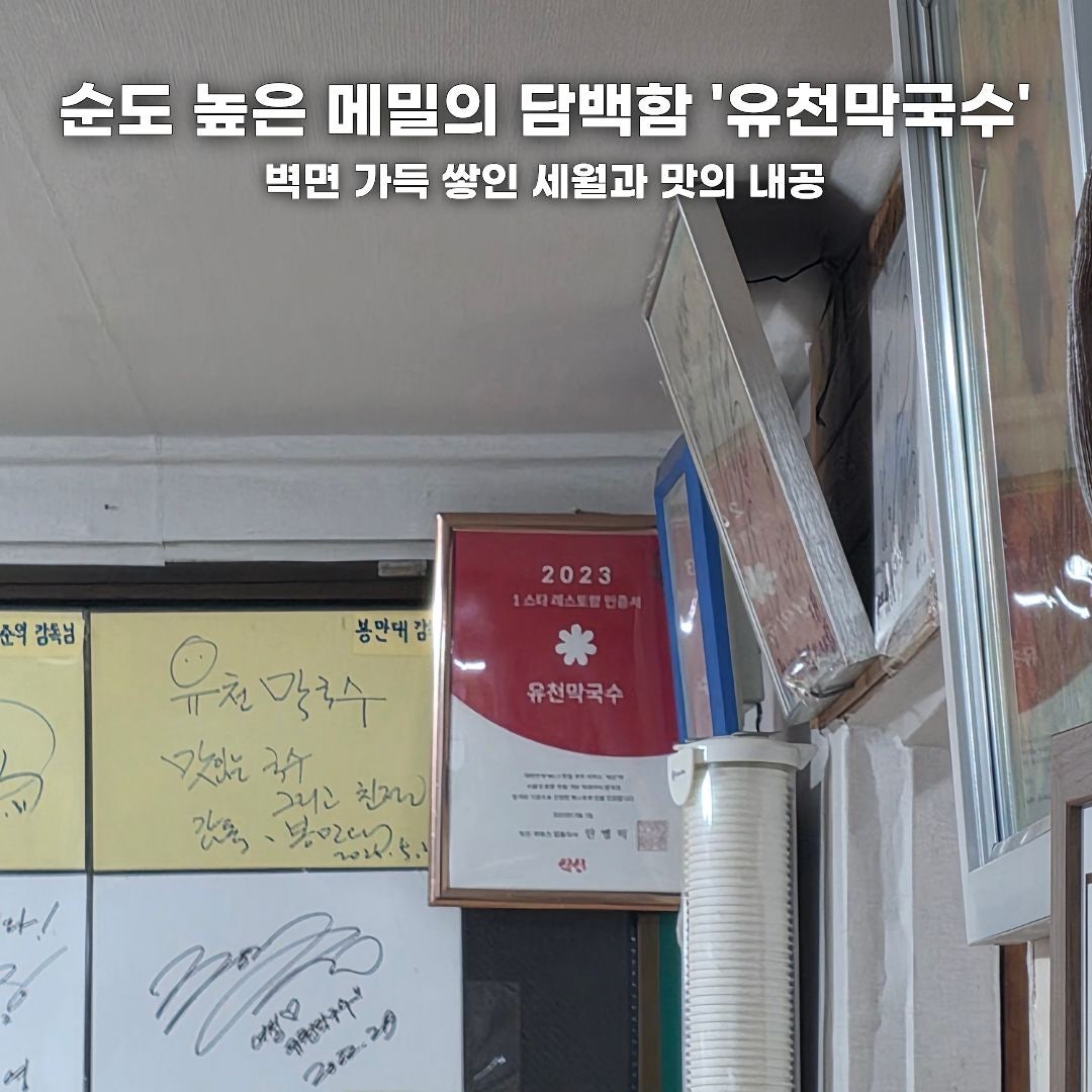 푸른 바다부터 숲속 힐링까지, 가을 떠나기 좋은 강원도 나들이 코스 총정리 (동해·평창·안동)