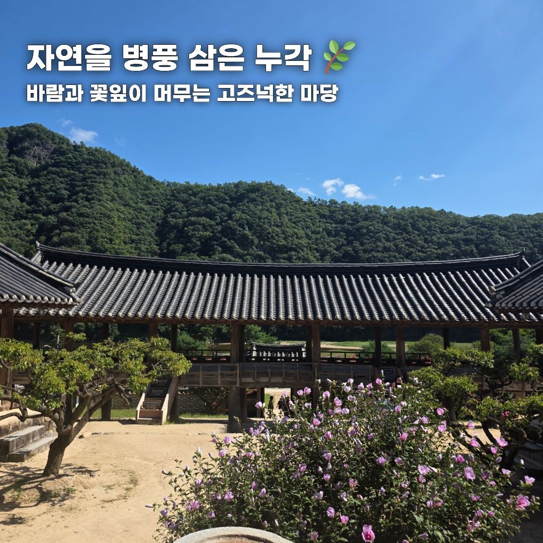 푸른 바다부터 숲속 힐링까지, 가을 떠나기 좋은 강원도 나들이 코스 총정리 (동해·평창·안동)