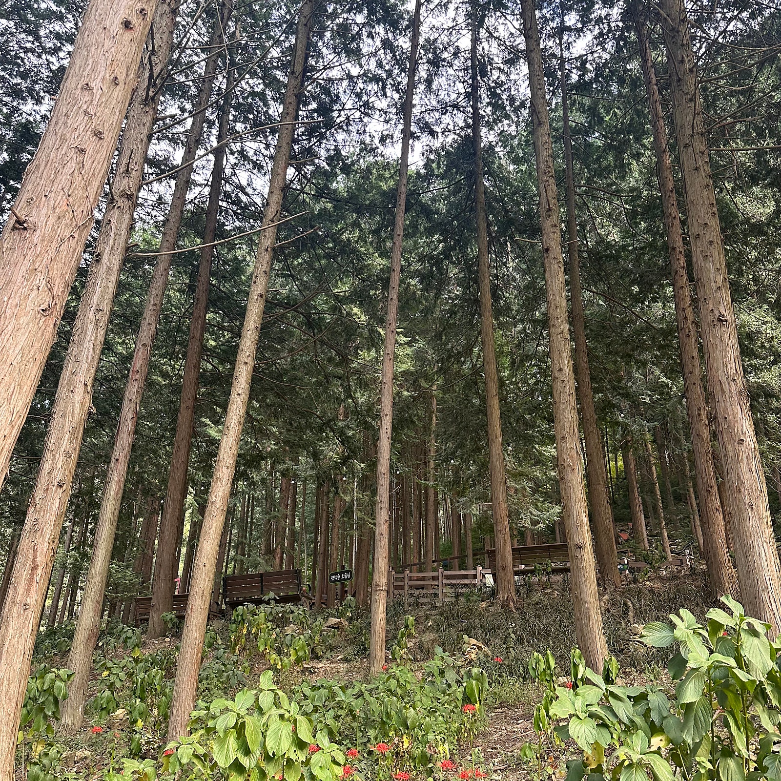 고즈넉한 한옥과 맛으로 채운 완주·전주 2박3일 여행기