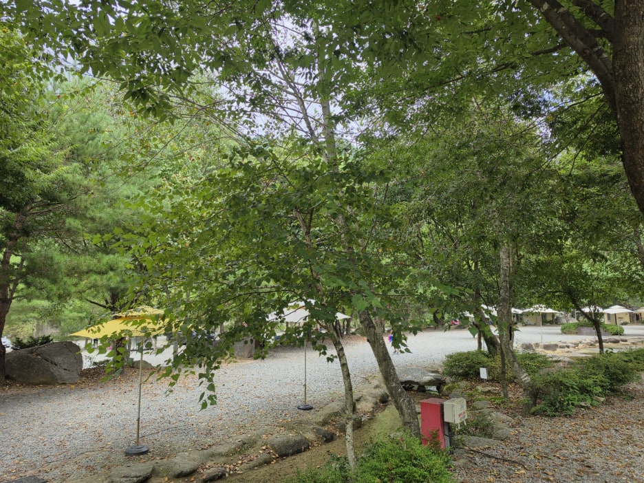 [9월 여행노트] 🌿 여름아, 조금만 더 놀다 가~가평 또올래캠핑장에서 2박 3일