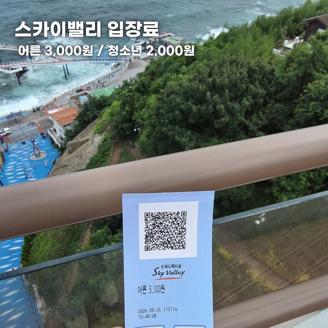 푸른 바다부터 숲속 힐링까지, 가을 떠나기 좋은 강원도 나들이 코스 총정리 (동해·평창·안동)