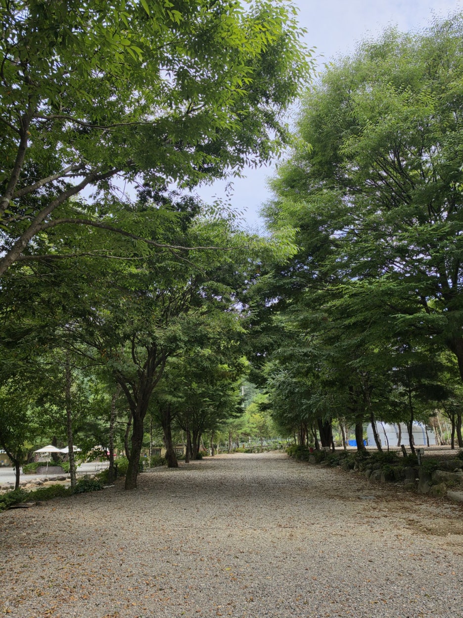 [9월 여행노트] 🌿 여름아, 조금만 더 놀다 가~가평 또올래캠핑장에서 2박 3일