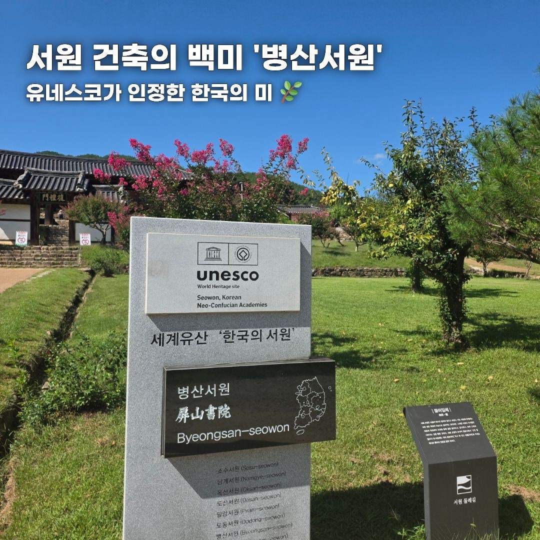 푸른 바다부터 숲속 힐링까지, 가을 떠나기 좋은 강원도 나들이 코스 총정리 (동해·평창·안동)