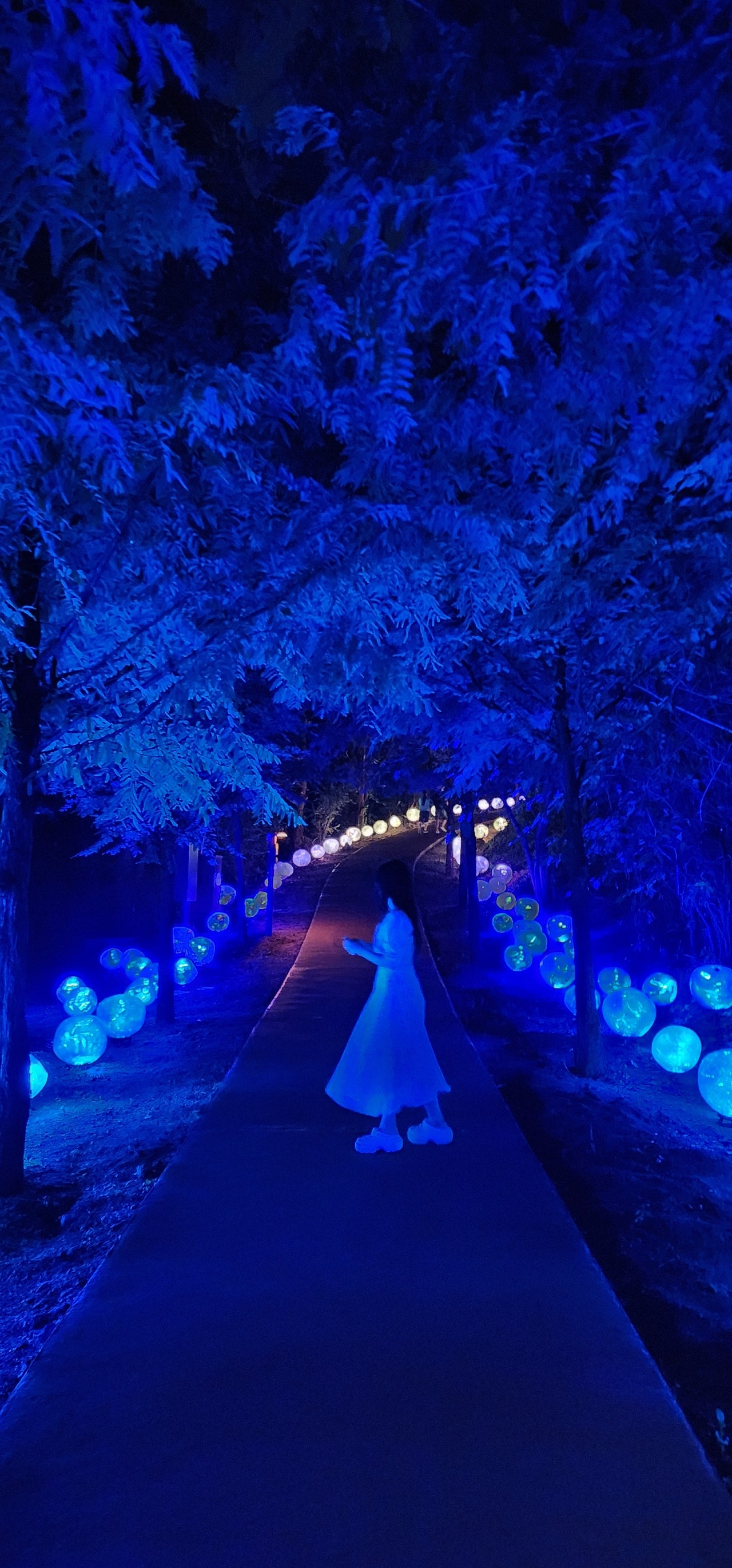 선선한 가을, 요정의 협곡으로 떠나요! [포천 테라 판타지아]