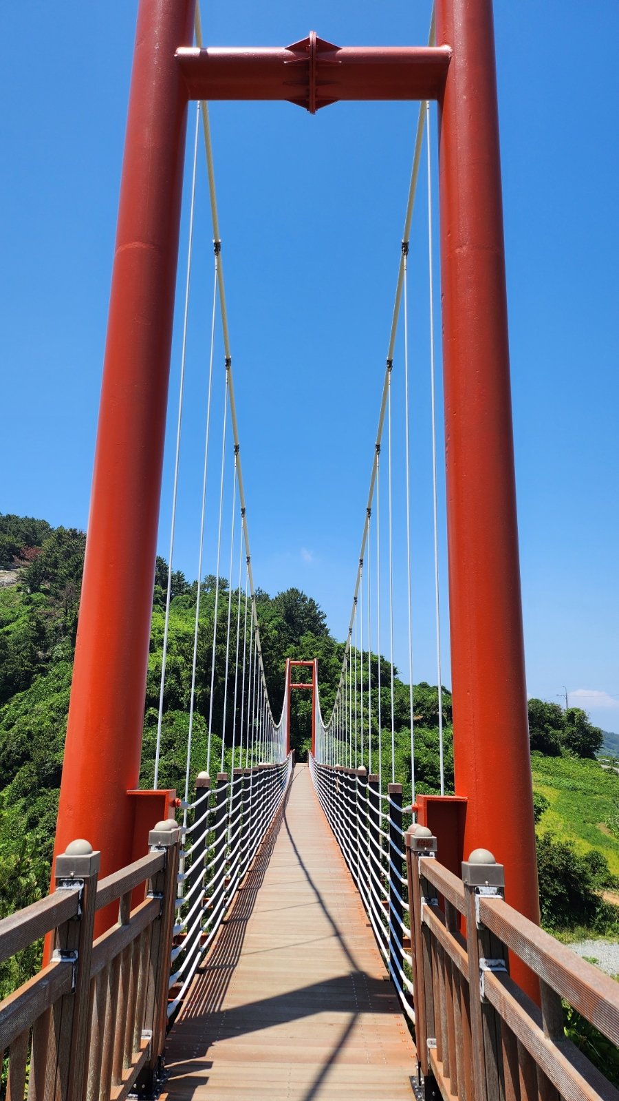 2출렁다리(좌)와 3출렁다리(우)