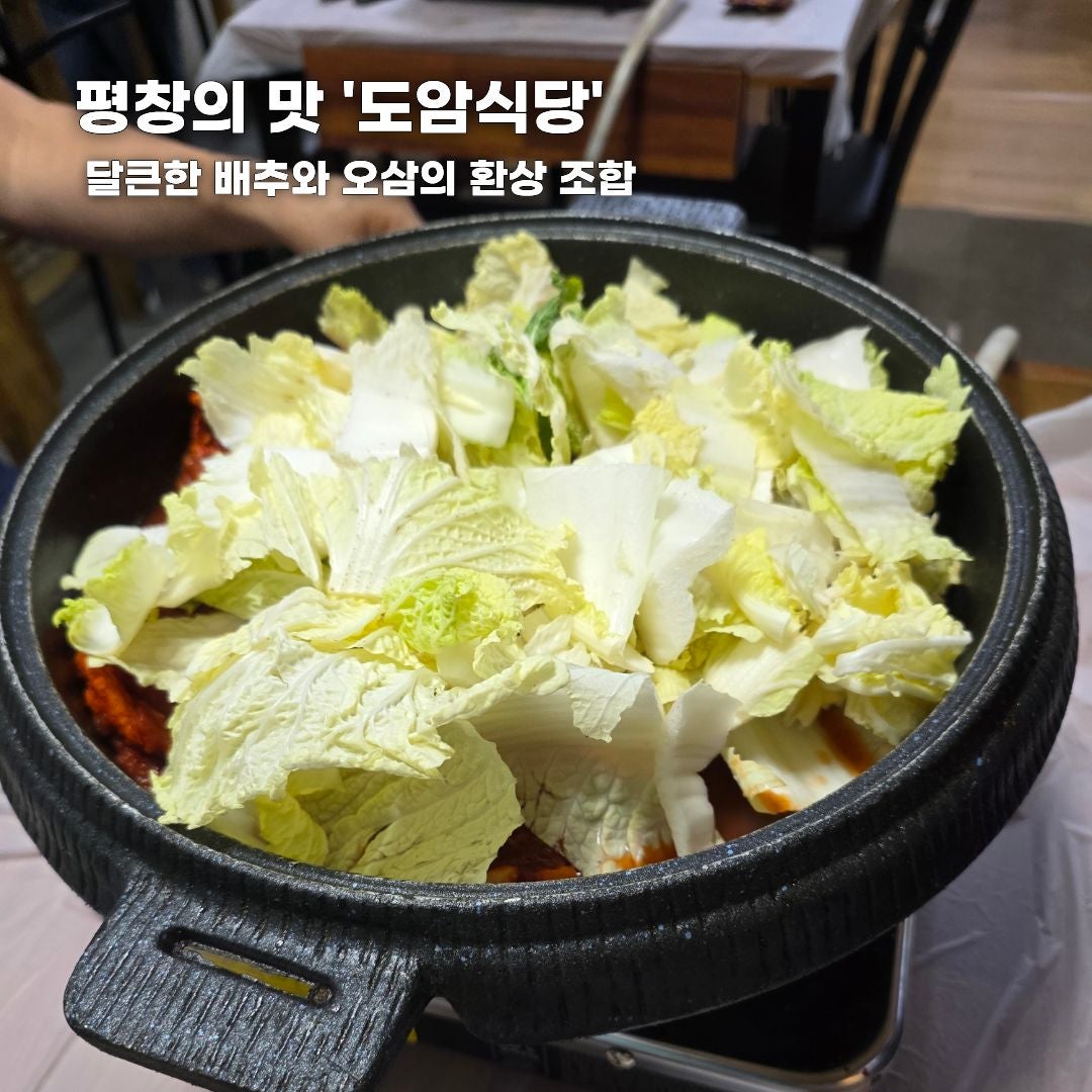 푸른 바다부터 숲속 힐링까지, 가을 떠나기 좋은 강원도 나들이 코스 총정리 (동해·평창·안동)