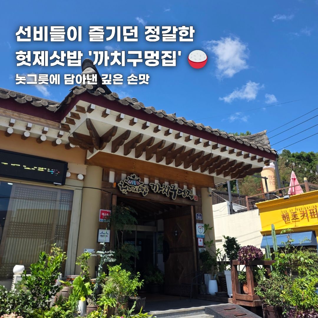 푸른 바다부터 숲속 힐링까지, 가을 떠나기 좋은 강원도 나들이 코스 총정리 (동해·평창·안동)