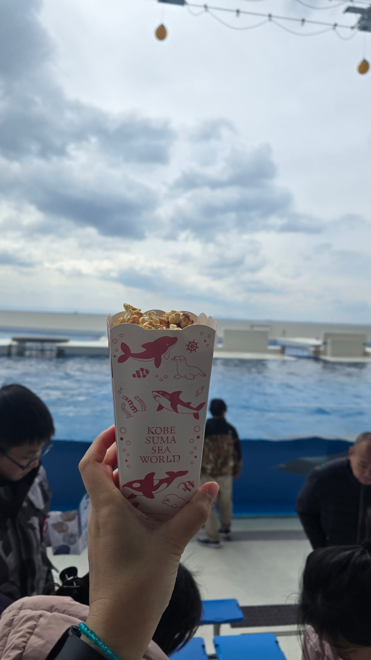 가을여행 고베 가볼만한곳 | 고베 스마 씨월드 범고래·돌고래 공연 후기