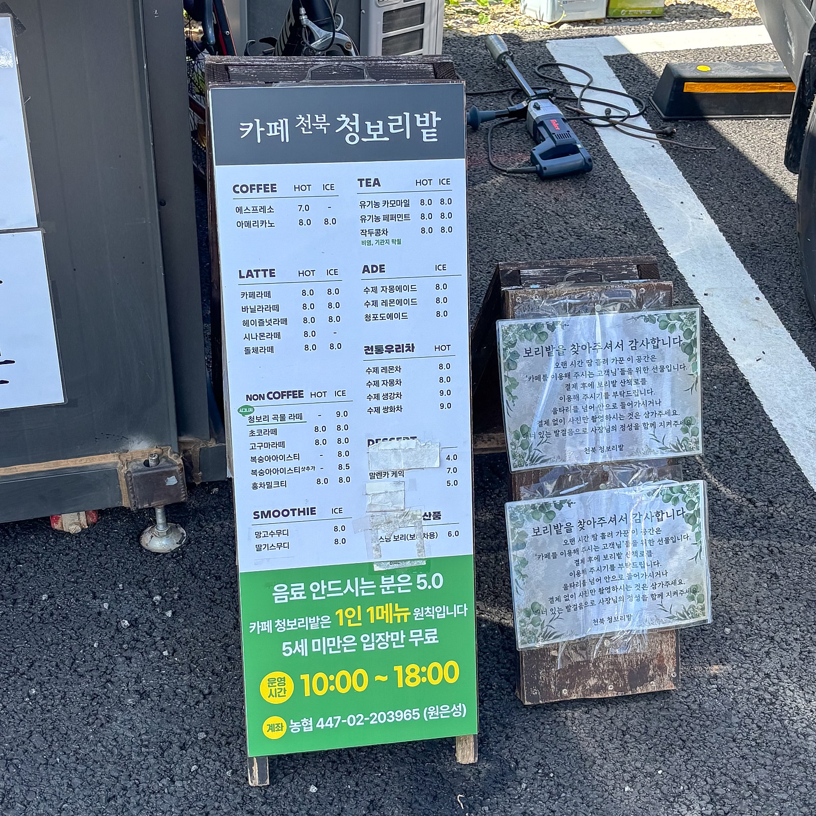 보령 가볼만한 곳 카페천북청보리밭 : 그 해 우리는 촬영지 가을 사진 찍기 좋은 곳 나들이