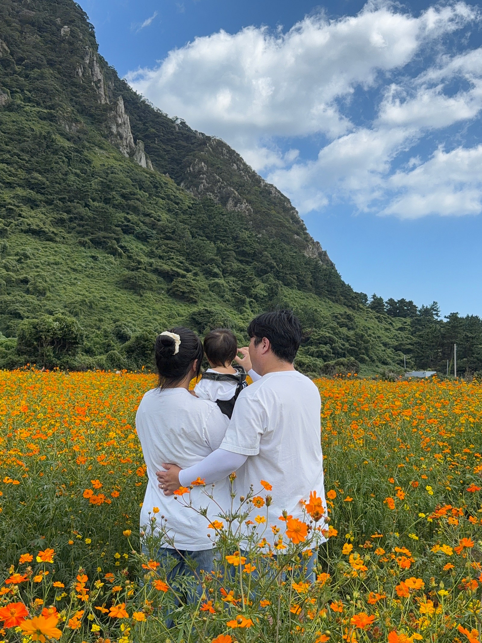 가을을 듬뿍담은 생일기념 제주여행일기🍂🍁(일정편)