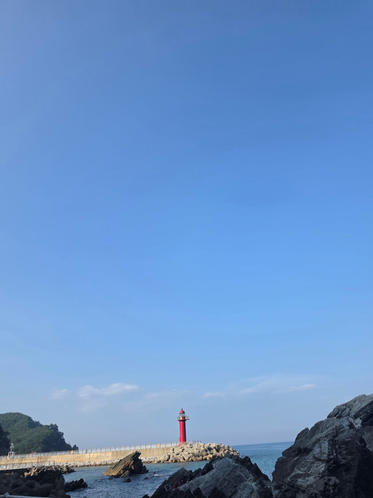 강릉 금진해변 조개잡이하고 탑스텐호텔 금진온천 수영장 해변횟집 모듬회 서울식당 매운탕까지 온가족 마지막여름을 즐기고 왔어요