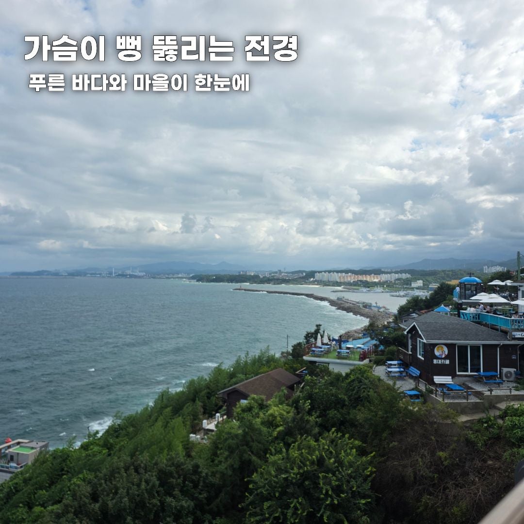 푸른 바다부터 숲속 힐링까지, 가을 떠나기 좋은 강원도 나들이 코스 총정리 (동해·평창·안동)
