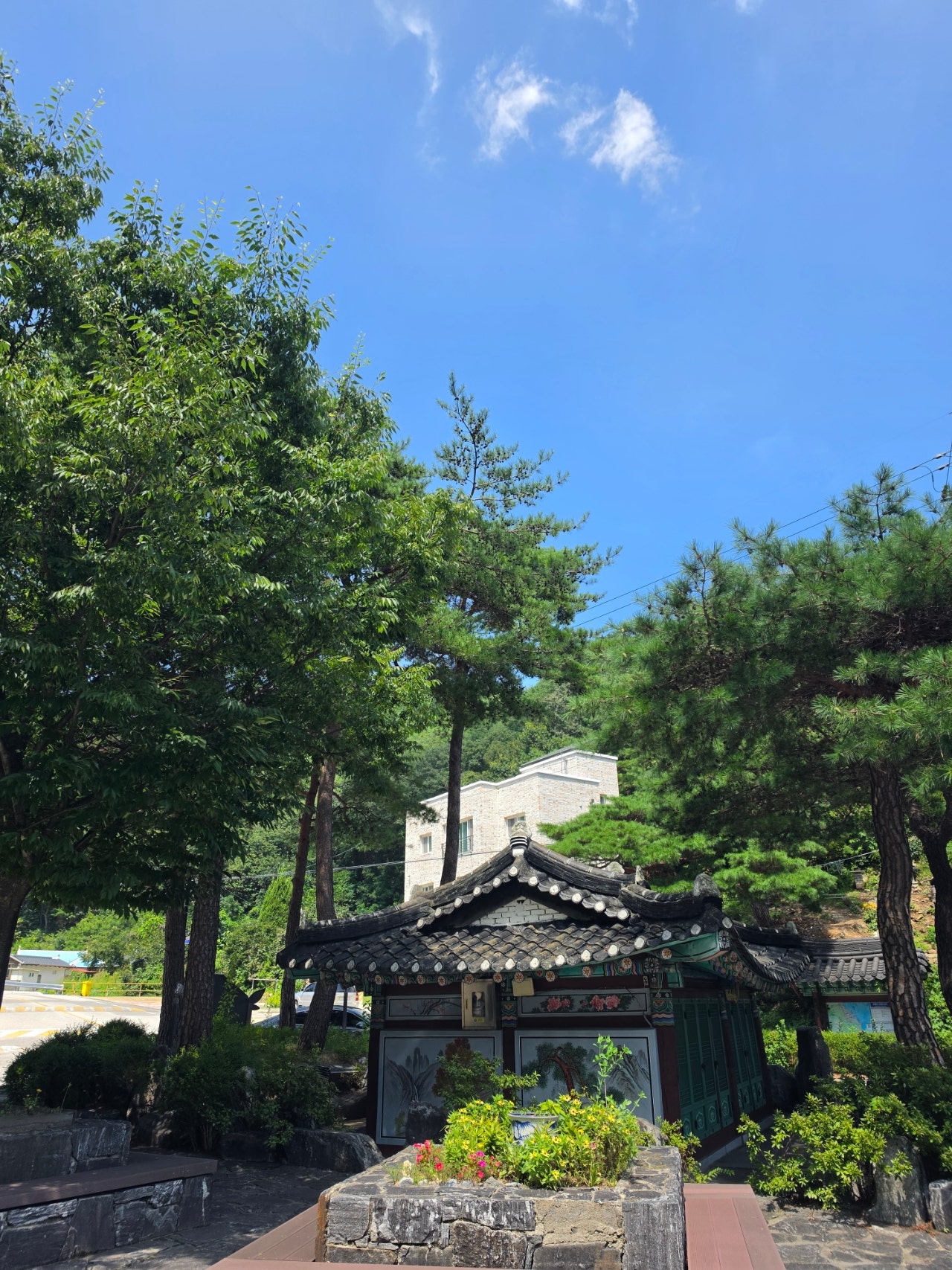 강릉 금진해변 조개잡이하고 탑스텐호텔 금진온천 수영장 해변횟집 모듬회 서울식당 매운탕까지 온가족 마지막여름을 즐기고 왔어요
