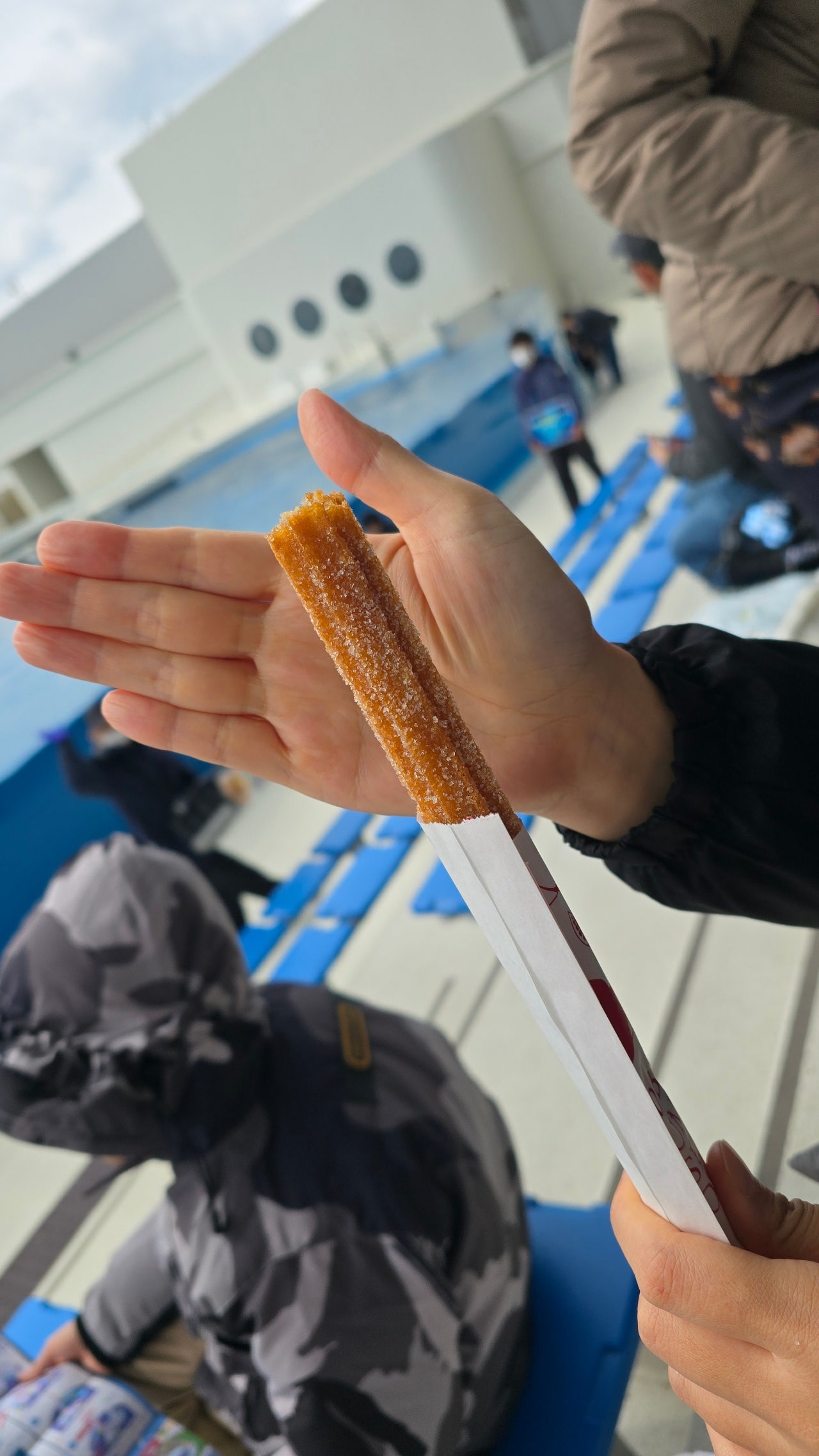 가을여행 고베 가볼만한곳 | 고베 스마 씨월드 범고래·돌고래 공연 후기
