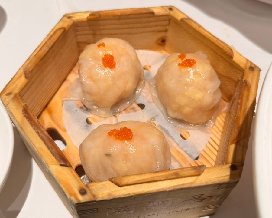 중국 광저우 4년 연속 미슐랭 맛집?!🇨🇳 | 타오타오쥐 본점 : 후기, 가격, 메뉴, 웨이팅 총정리