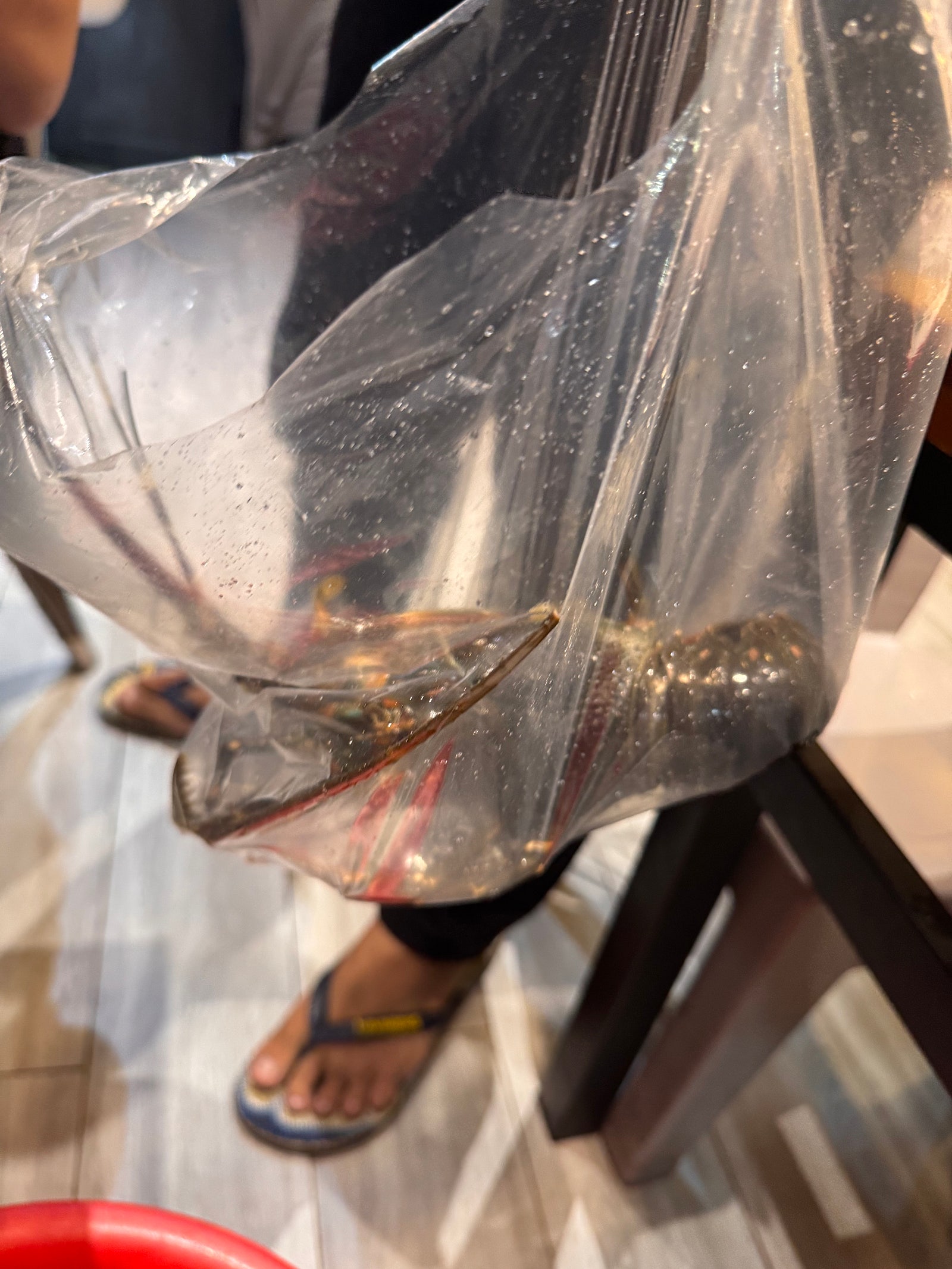왕보가족의 "나트랑" 여행 노트 : ) 나트랑 찐 로컬 (시내) 맛집 / 꽌옥응언/ 넴느엉 당반꾸엔/ 봉크레이지/ 껌땀 바오린 / 포틴 / 척칩