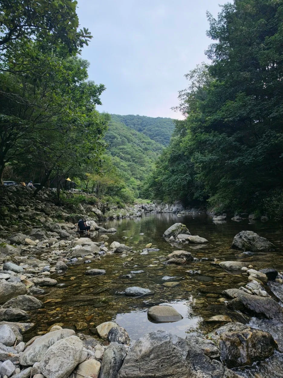 가평 가볼만한 곳 또올래캠핑장에서 즐기는 늦여름 계곡 물놀이 대표 이미지